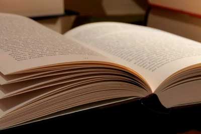 Чтение литературы