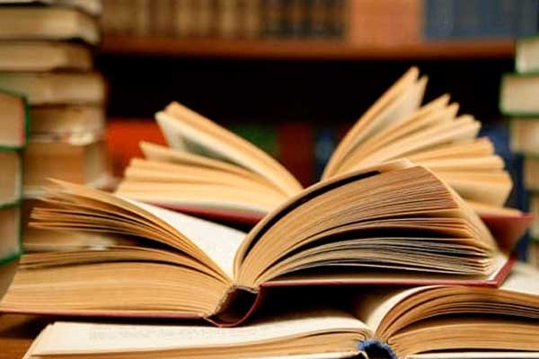 Подготовка к ЕГЭ по литературе